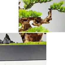 YXIANG56Q Fake Plants Artificial Bonsai Pine Tree Realistic Fake Plant Decoration Desktop Display Greenery Bonsai Tree