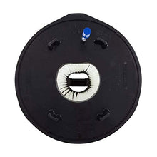 Pentair D.E. Element Replacement Filter