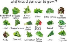 WRTYHGVGT Hydroponics Growing System 72 Sites 8 Pipes Hydroponic Grow Kit Garden Planting Equipment Nft Soilless Balcony Indoor Greenhouse Tool Lettuce Strawberry Hydroponic Tower