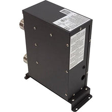 Raypak Digital Electric Spa Heater 5.5KW 240V 017121