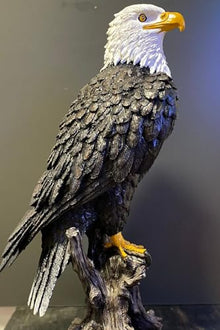 SODEF Standing Large Eagle Sculpture Statue for Garden Decor Black and White Polyester 65 x 40 cm - Black and White