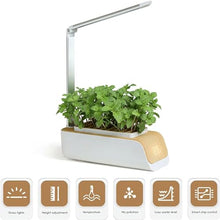 BTURYT Hydroponic Systems, Interior Plants Cultivation Lights, Without Seasonal Restrictions, Adjustable Height, Interior Gardening Kit, Suitable for Seedlings/Seeds/Succulents