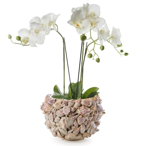 Two's Company Shell Hand Crafted Planter, 8.75-Inch, Ceramic, Natural
