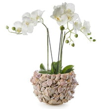 Two's Company Shell Hand Crafted Planter, 8.75-Inch, Ceramic, Natural