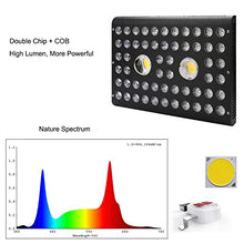 JINHH LED Grow Light 1200W Full Spectrum IR COB Reflector Series Plant Lamp with Daisy Chain for Hydroponic Greenhouse Indoor Plant Veg and Flower …