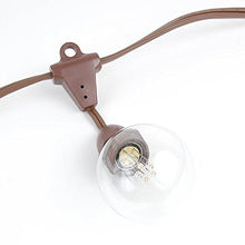 Novelty Lights 330 Feet Heavy Duty Light String, 264 Suspended E17 Sockets
