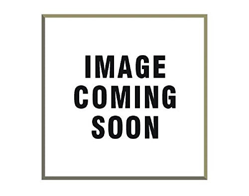 MEYER PROD 6'8" Power Angle HOMEPLOW