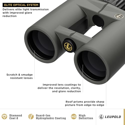 Leupold BX-4 Pro Guide HD Binoculars 10x42mm Shadow Gray