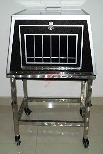 Oriental Magic Girl Appearing from Cage Magic Kit
