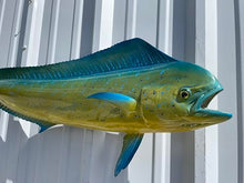 Mount This Fish Company 37" Cow Dolphin Full Mount Fish Replica Wall Decor