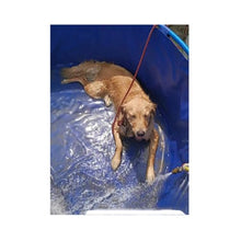Pool Above Ground, Canvas Pond Swimming Pool Fish Pond Foldable Strong Load-Bearing Capacity Raising Koi Garden Irrigation Environmentally Friendly and Odorless Water Tank Industry Agricul