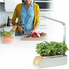 BTURYT Complete Hydroponic Culture System, Light Lamp for Plants, Retractable Light Post, Automatic Filling Light, Interior Herbal Kit, Suitable for Home, Kitchen