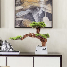 Fake Plants Artificial Bonsai Tree 21.6in Large Luohan Pine Fake Bonsai Plant Interior Decor Simulation Welcome Pine Bonsai Trees Ceramic Vase Bonsai Tree