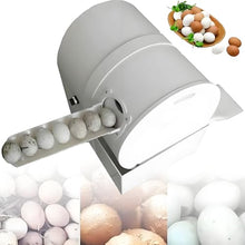 UILMLIO Electric Egg Washing Machine, Egg Washer Machine, Automatic Egg Washer Machine, 2300 Pcs/H Chicken Duck Goose Egg Egg Cleaner Wash Machine