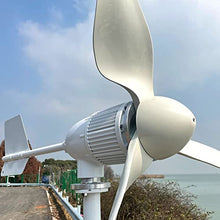 NINILADY 3000W 48V Wind Turbine Generator with Hybrid MPPT Controller 3KW Permanent Magnet Generator for Homeuse 3 Blades Free Energy Windmill (with MPPT Controller)