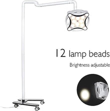 Shogoody 30W Lab Shadowless Mobile Floor Stand Lamp LED Cold Light White