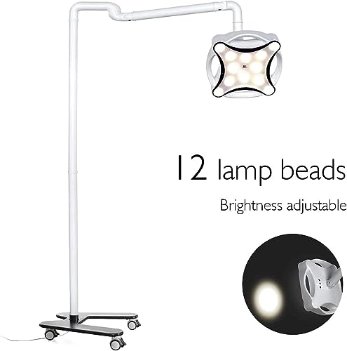 Shogoody 30W Lab Shadowless Mobile Floor Stand Lamp LED Cold Light White
