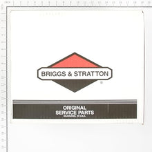 Briggs and Stratton 314441GS Pump - Pressure Washer