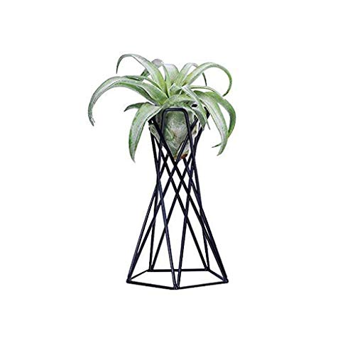 SIDUFHAOPKLL Flower Racks Rustic Tabletop Mount Hanging Irregular Geometric Iron Tillandsia Art Plants Holder Rack Black Containers Home Tool