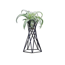 SIDUFHAOPKLL Flower Racks Rustic Tabletop Mount Hanging Irregular Geometric Iron Tillandsia Art Plants Holder Rack Black Containers Home Tool
