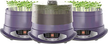 KFJZGZZ 3PCS Bean Sprouts Machine, Automatic Germination Tank Intelligent Control Constant Temperature Cultivation Seed Germination Kit