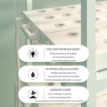 Hydroponic Growing Kits & Systems,hydroponics Growing Tower,hydroponics Indoor Garden,Indoor herb Garden,Garden Hydroponic Growing System,for Herbs, Fruits and Vegetables. (Size : Without Lights)