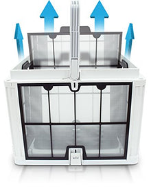 Dolphin Quantum Robotic Inground Pool Cleaner