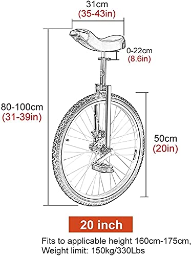 JINCAN 20" Wheel Trainer Unicycle Black