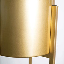 SIDUFHAOPKLL Gold Metal Plant Stand Living Room Indoor Brief Floor Iron Rack Flower Balcony Shelf Garden