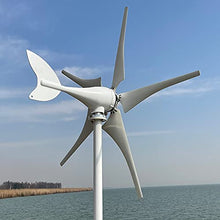 NINILADY New Arrivel Low Noise 600W 12V 24V 48V Wind Turbine 5 Blades with MPPT Controller Wind Generator for Home Free Energy (24v with Controller)