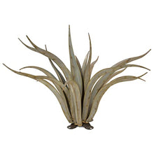 Desert Steel Octopus Agave Large Metal Yard Art 53”W x 35”H All Weather