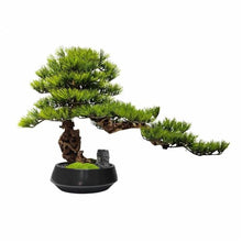 YXIANG56Q Fake Plants Faux Pine Plant with Ceramic Pot, Realistic Wood, Fake Potted for Office Home Decor Bonsai Tree