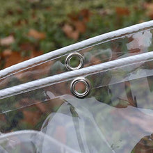 FOGUO Clear Waterproof Cover Tarp 19.7x32.8ft, Clear Tarps Heavy Duty with Grommets, Thicken Transparent Waterproof Tarpaulin, Plant Cover Insulation Shed Cloth, for Greenhouse Plant Cover