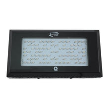 Lighthouse Hydro BlackStar Flowering LED Grow Light, 240-watt