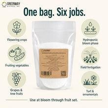 Greenway Biotech, Inc. Monopotassium Phosphate Fertilizer 0-52-34-100% Water Soluble Hydroponics for Root Strength - Increase Yield and Blooming - High Purity Plant Nutrient Formula - 2 X 25 Pounds