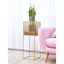 GHJUMKFDF Flower standWrought Iron Flower Stand Green Plant Metal Shelf Flower Shelf Plant Stand Solid Four Legged
