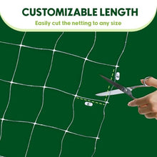 Trellis Netting, Aaamazing Netting, Scrog Net, Trellis Net, 5ft x 4920ft Roll, for Climbing Plants, Cut Flower Support, Garden, Grow Pea, Bean, Grape Vine, Mesh, Heavy Duty, 6x6 Inch Squares