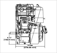Briggs and Stratton 13R232-0001-F1 Engine,Black,14.5 x 12 x 13.5 inches