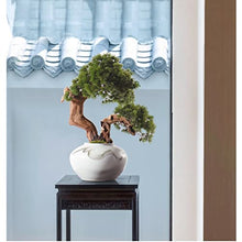 YXIANG56Q Fake Plants Artificial Bonsai Tree, Fake Plants in Ceramic Pot, Faux Potted Plant for Home Desktop Zen Garden Living Room Decor, Height 22.44 Inches Bonsai Tree