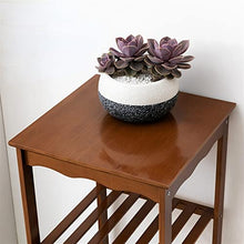 ZOCWJK Plant standPlant Stand F Type Shelving, Simple Balcony Layout, Modern Flowerpot Layer Frame, Iron Art and Meat,