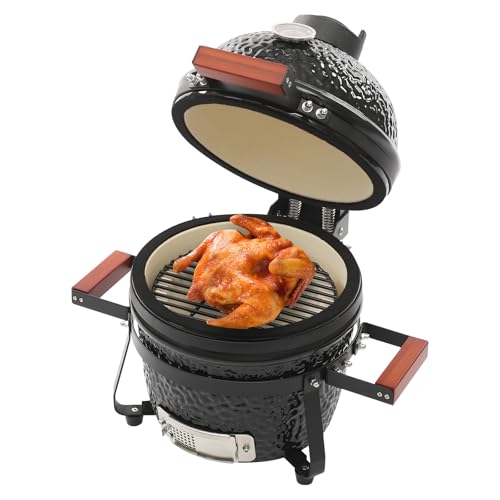 lizponaza 13 Inch Ceramic Charcoal BBQ Grill & Smoker Outdoor Portable Grill, Versatile Grill for Baking, Grilling, Broiling with 50-800°F Temperature Range & Integrated Gauge for Patio, Backyard