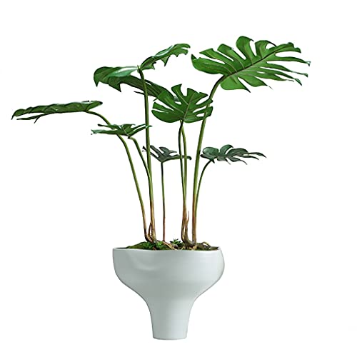 YXIANG56Q Fake Plants Artificial Plant Lifelike Natural Simulation Turtle Back Leaf with Ceramic Flower Pot Green Plant Bonsai for Modern Home Office Decoration Bonsai Tree