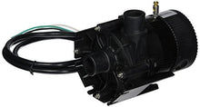 Laing E10-NSTN1W-19 Spa Circulation Pump