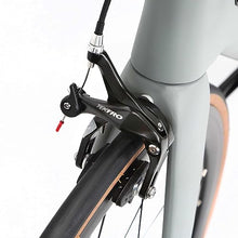 Hearts Bio Carbon Road Bike Model H Tiagra 20s - HeartsGray