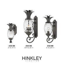 Hinkley Plantation Medium Wall Mount Outdoor Lantern, Museum Black Finish