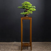 YXIANG56Q Fake Plants Indoor Fake Tree Potted Plant Ornaments Desktop Jewelry Entrance Decoration Simulation Tree Decoration High-Grade Artificial Bonsai Bonsai Tree