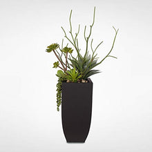 Misc Botanical Succulent Variety in A Tall Black Modern Metal Planter