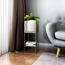 RWGOVLU Light Luxury Wrought Iron Living Room Flower Stand Floor-to-Ceiling Home Balcony Indoor Flower Stand Shelf Green Dill TV Next to The Potted Plant Stand, 52cm, Gold