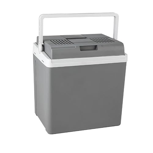 AWMGPDDBTO Mini Fridge 28L Car Home Mini Fridge
