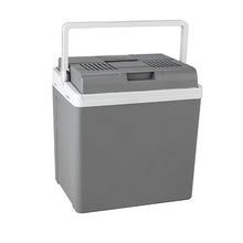 AWMGPDDBTO Mini Fridge 28L Car Home Mini Fridge